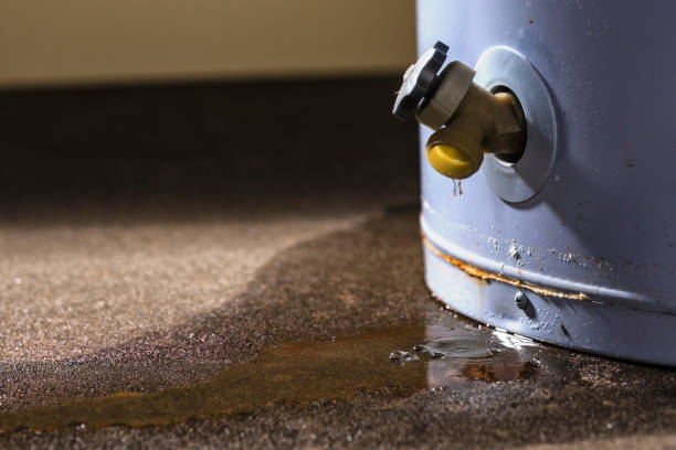 Best Basement water damage restoration  in Elizabethville, PA