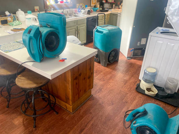 Best Mold removal after water damage  in Elizabethville, PA