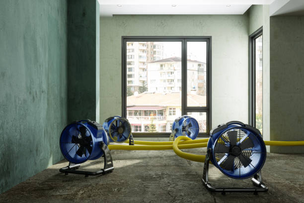 Best Water damage restoration near me  in Elizabethville, PA